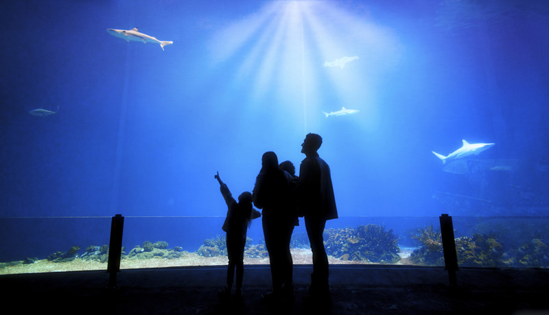 Burgers' Zoo 2 Kopie