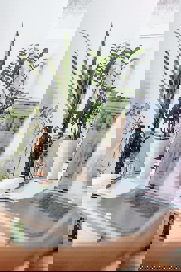 Solution omnicanale : tous les paiements possibles en ligne et en magasin chez Buckaroo