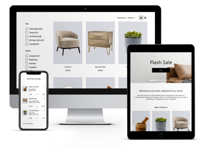 Boutique en ligne Lightspeed - Plugin Buckaroo